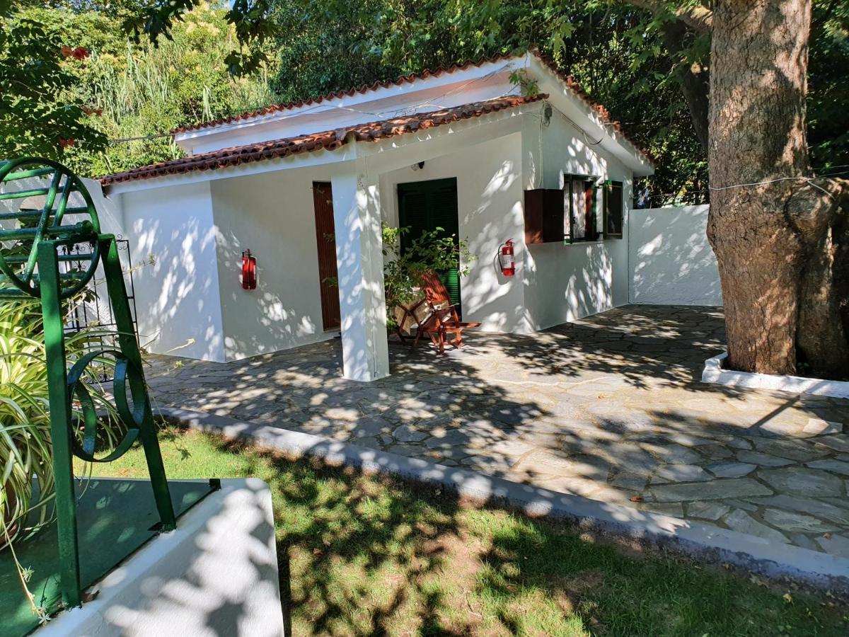 Dionisos Studios And Apts Skiathos Koukounaries Extérieur photo